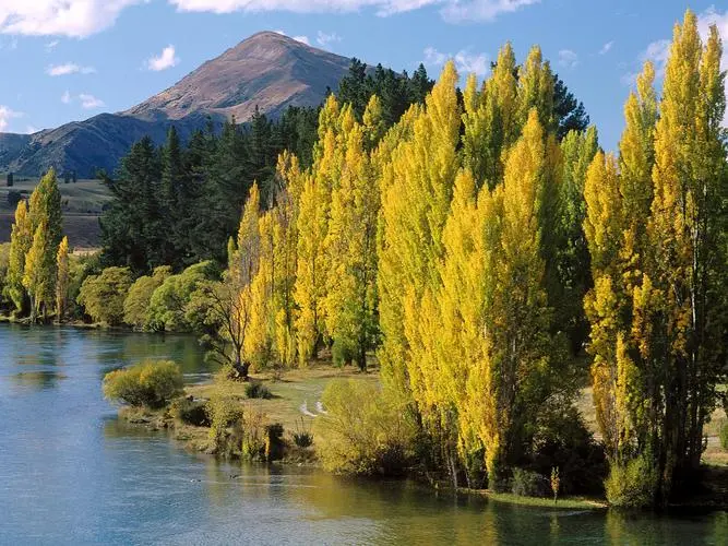 高质量高标准自动化